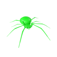 spider isolated on transparent background png