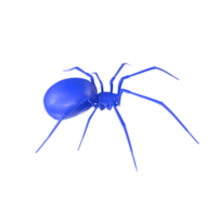 spider isolated on transparent background png