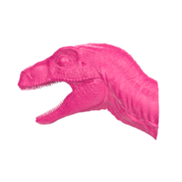 raptor cabeça isolado em transparente fundo png