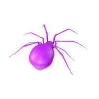 spider isolated on transparent background png