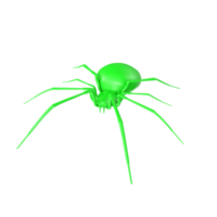 spider isolated on transparent background png