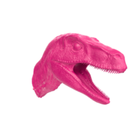 Raptor head isolated on transparent background png