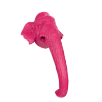 Mammoth head isolated on transparent png