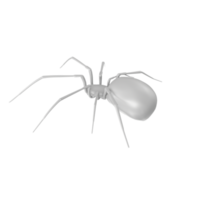 Spinne isoliert auf transparent Hintergrund png