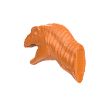 Raptor head isolated on transparent background png