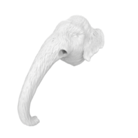 mammut testa isolato su trasparente png