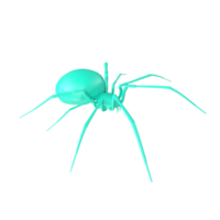 spider isolated on transparent background png