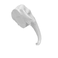 Mammoth head isolated on transparent png