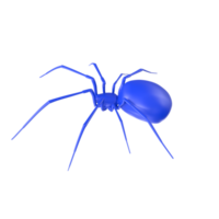 spider isolated on transparent background png