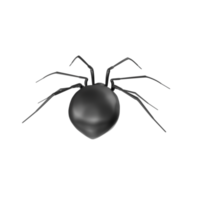 spider isolated on transparent background png