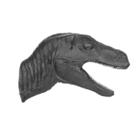Raptor head isolated on transparent background png