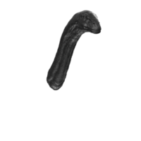 Apatosaurus animal isolated on transparent background png