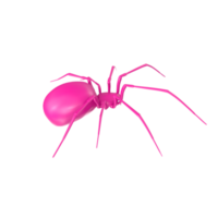 spider isolated on transparent background png