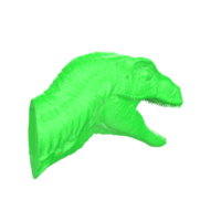 Raptor head isolated on transparent background png