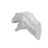 Raptor head isolated on transparent background png