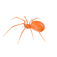 aranha isolado em transparente fundo png