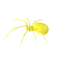 spider isolated on transparent background png