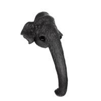 Mammoth head isolated on transparent png