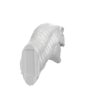 Raptor head isolated on transparent background png