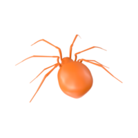 Spinne isoliert auf transparent Hintergrund png