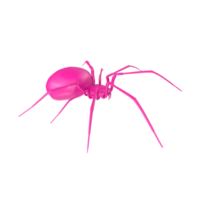 spider isolated on transparent background png