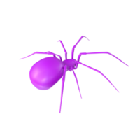 spider isolated on transparent background png