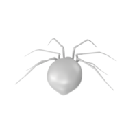 Spinne isoliert auf transparent Hintergrund png