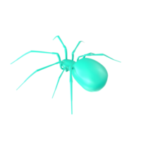 spider isolated on transparent background png