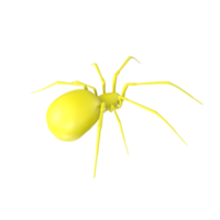 spider isolated on transparent background png