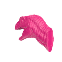 Raptor head isolated on transparent background png