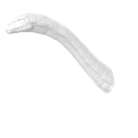 apatosaurus animal isolado em transparente fundo png