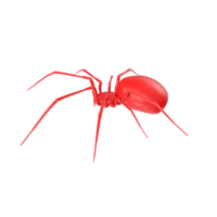 Spinne isoliert auf transparent Hintergrund png