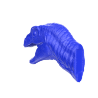 raptor cabeça isolado em transparente fundo png