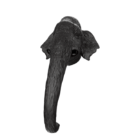 mammut testa isolato su trasparente png