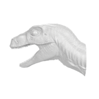 Raptor head isolated on transparent background png