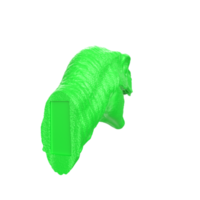 Raptor head isolated on transparent background png