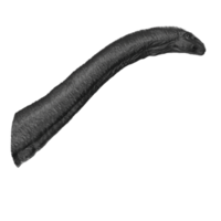 Apatosaurus animal isolated on transparent background png