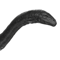 apatosaurus animal isolé sur transparent Contexte png