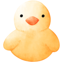 acuarela pato, Pato ilustración png