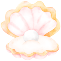 Cute Pearl Shell, Shell illustration, Pearl Shell, cute shell illustration, sea life png