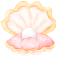 Cute Pearl Shell, Shell illustration, Pearl Shell, cute shell illustration, sea life png