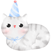 contento compleanno gatto, divertente gatto, gatto illustrazione, acquerello png