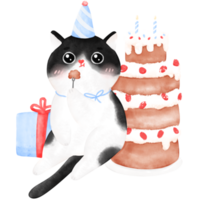 contento compleanno gatto, divertente gatto, gatto illustrazione, acquerello png