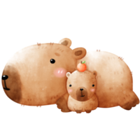 mignonne capibara, capybara illustration, aquarelle capibara, content capybara png