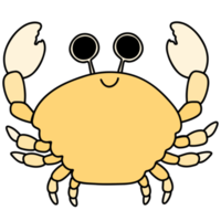 Cute crab, crab illustration, sea life, marine creature png