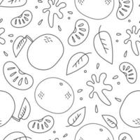 Tangerine flavor doodle seamless pattern vector