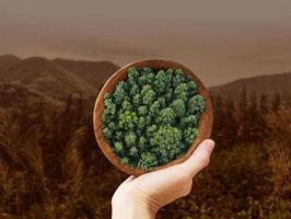 Sustainable food concept on blurred nature background, plant based, Green food, eco living, environmental, Elements of this image furnished by NASA photo