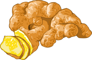 Ginger png graphic clipart design