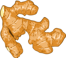 Ginger png graphic clipart design