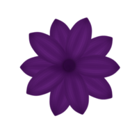 Flower purple floral png